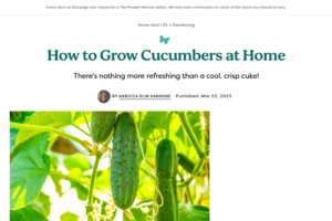 Cucumbers Are A Versatile And Refreshing Vegetable That Can Be Enjoyed In A Variety Of Ways. From Sa…
